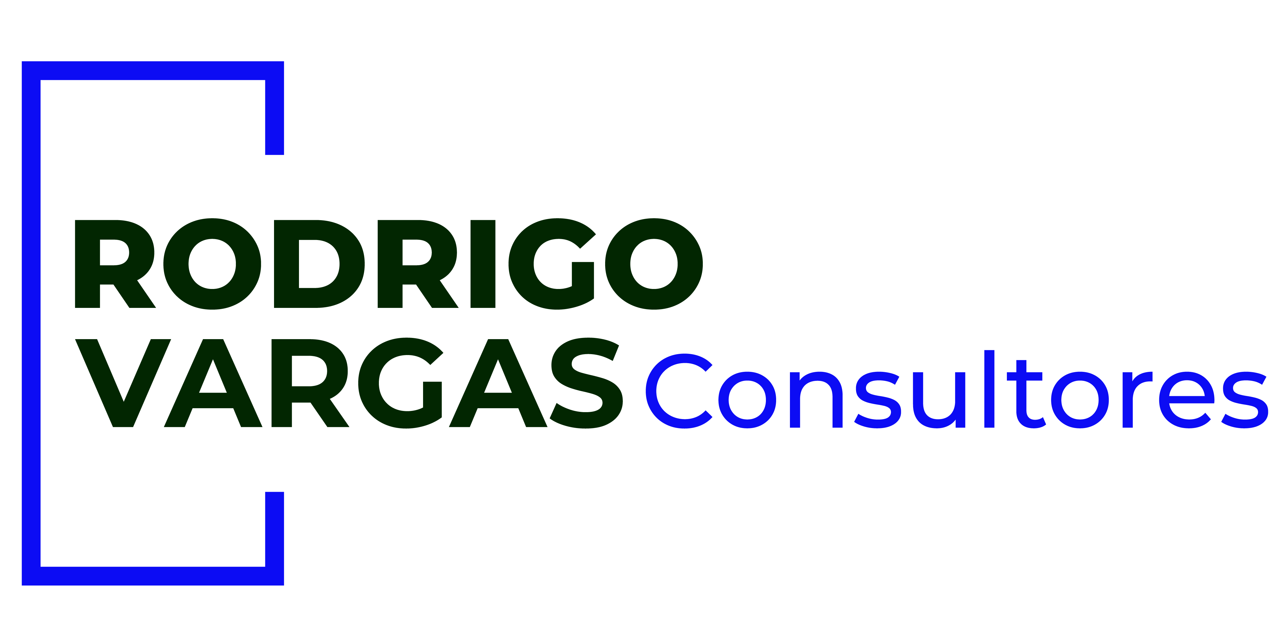 RODRIGO VARGAS Consultores